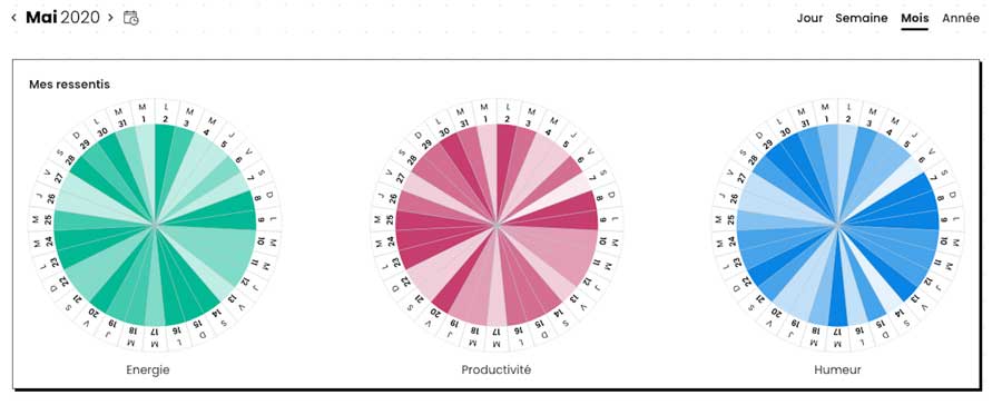 My BuJo online - Mes ressentis par mois