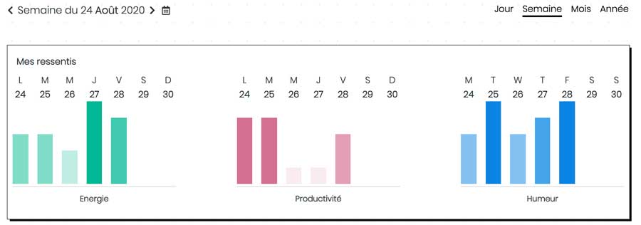 My BuJo online - Mes ressentis par semaine