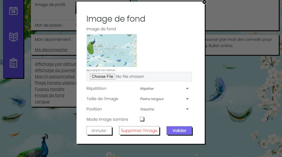 Personnaliser image fond My Bullet online paramètres