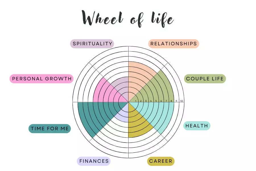 Wheel of Life - Level 10 Life - My Bullet online